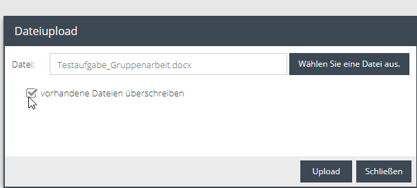 Auswahl: Vorhandene Datei überschreiben